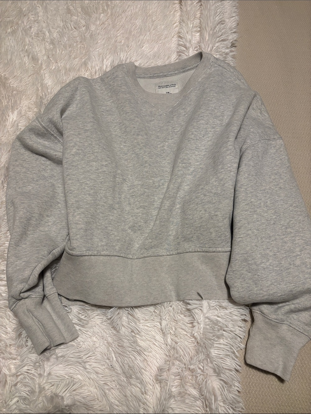 Abercrombie & Fitch Light Gray Cropped Crewneck Sweatshirt